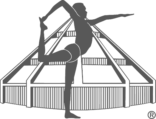 Iyengar Yoga Leipzig